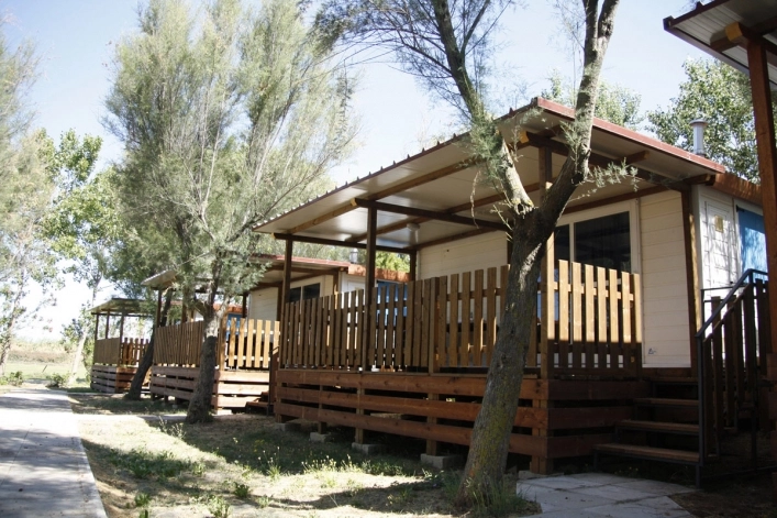 zobacz camping - zdjęcie 18