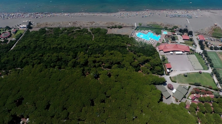 zobacz camping - zdjęcie 15