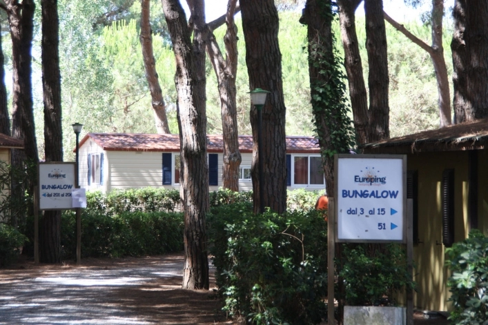 zobacz camping - zdjęcie 10