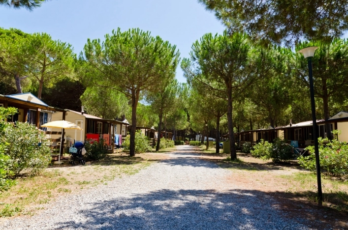 zobacz camping - zdjęcie 8