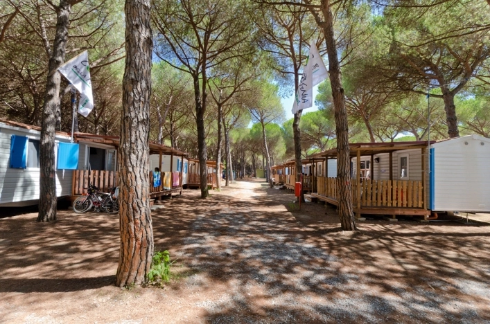 zobacz camping - zdjęcie 4