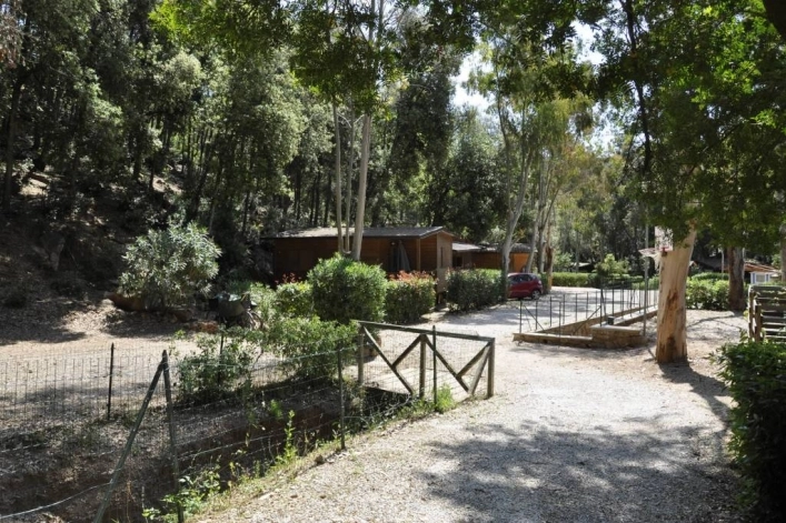 zobacz camping - zdjęcie 24