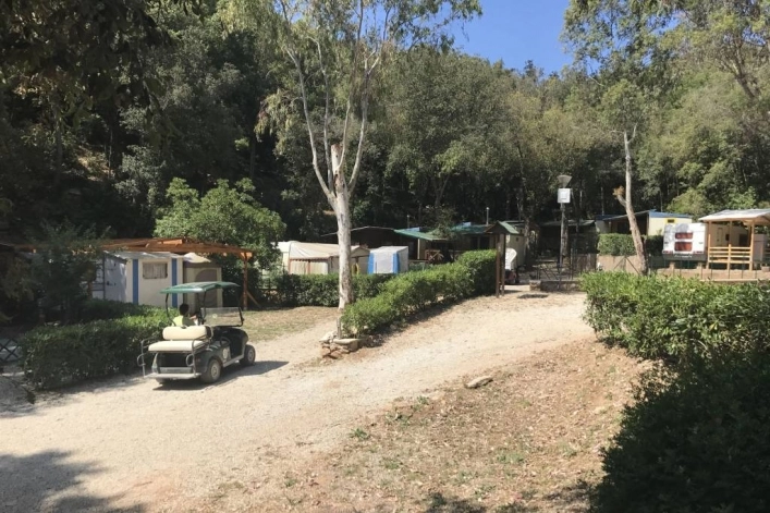 zobacz camping - zdjęcie 9