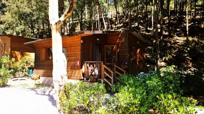 zobacz camping - zdjęcie 8