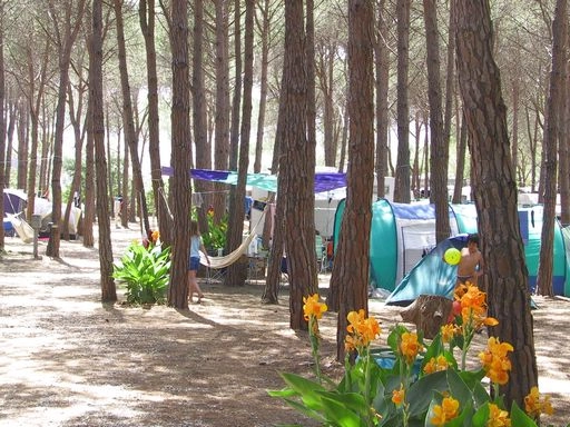 zobacz camping - zdjęcie 27