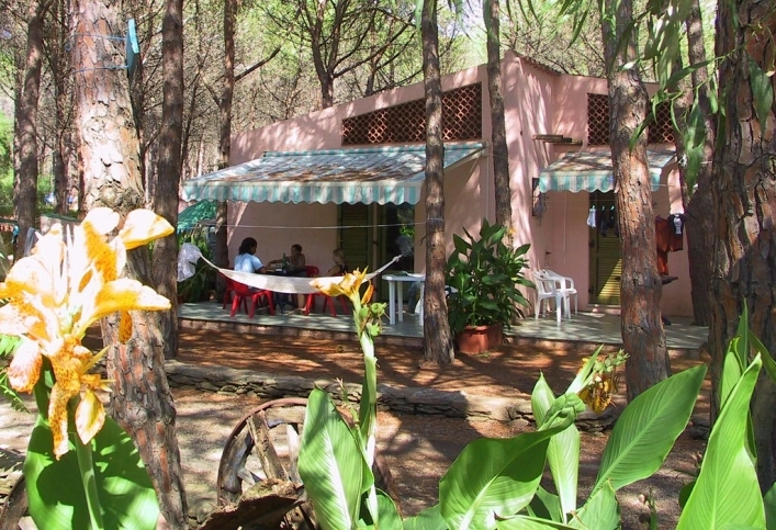 zobacz camping - zdjęcie 25