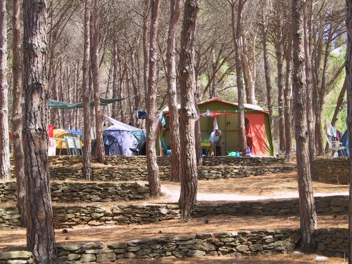 zobacz camping - zdjęcie 24