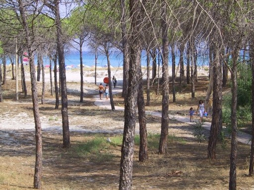 zobacz camping - zdjęcie 23