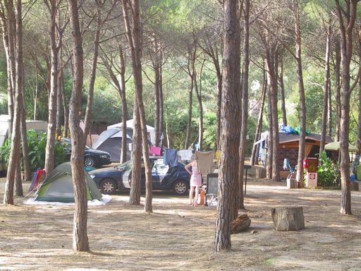 zobacz camping - zdjęcie 22