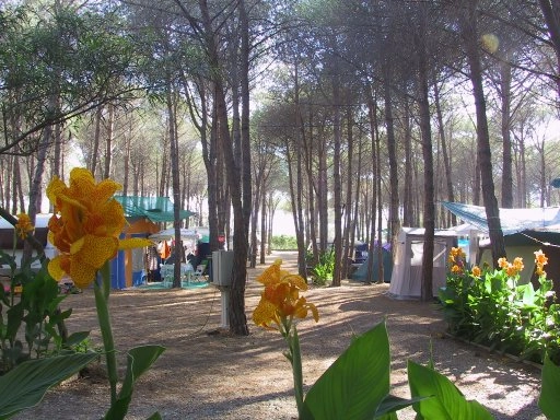 zobacz camping - zdjęcie 19