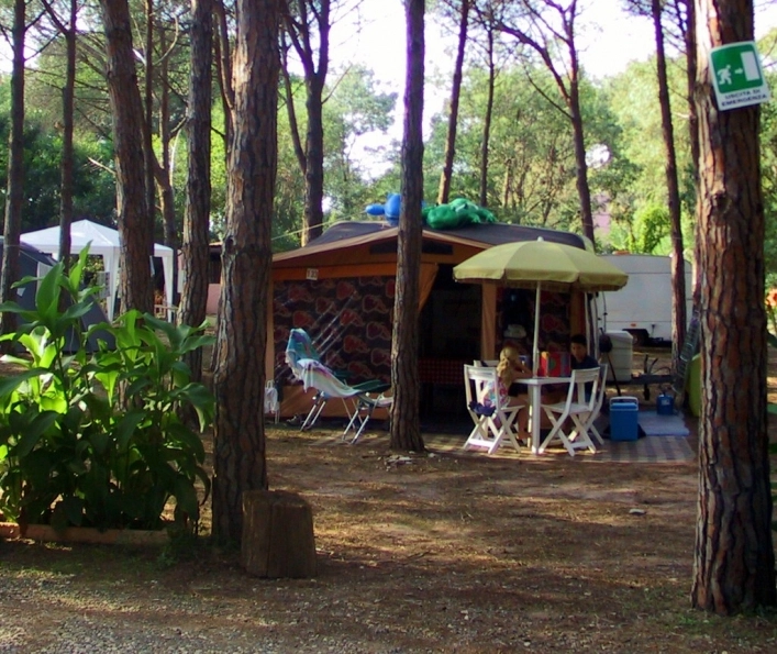 zobacz camping - zdjęcie 8