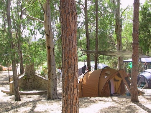Camping Selema - zdjęcie 3