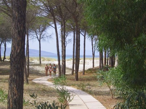 Camping Selema - zdjęcie 1