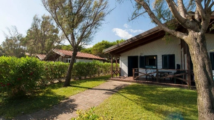 zobacz camping - zdjęcie 37