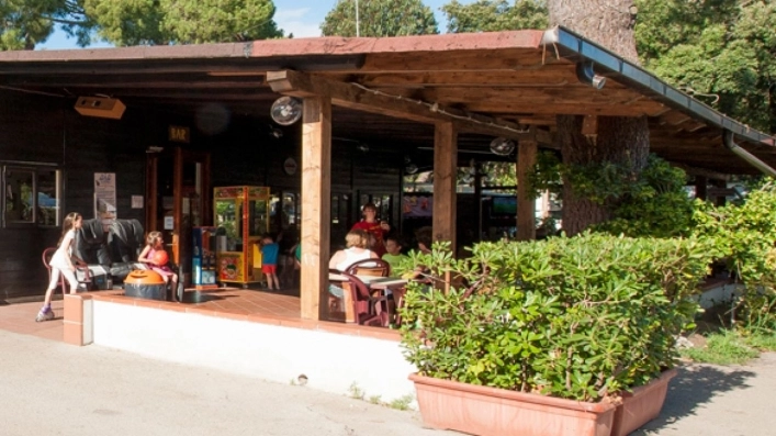 zobacz camping - zdjęcie 32