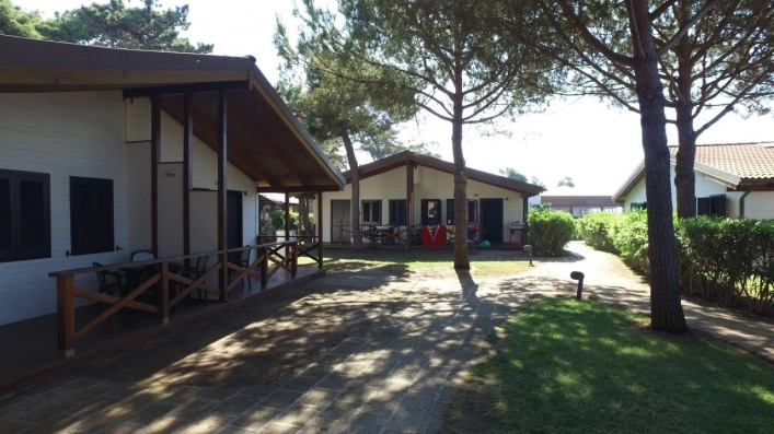 zobacz camping - zdjęcie 30