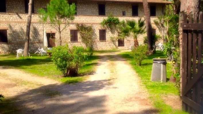 zobacz camping - zdjęcie 24