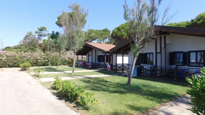 zobacz camping - zdjęcie 22