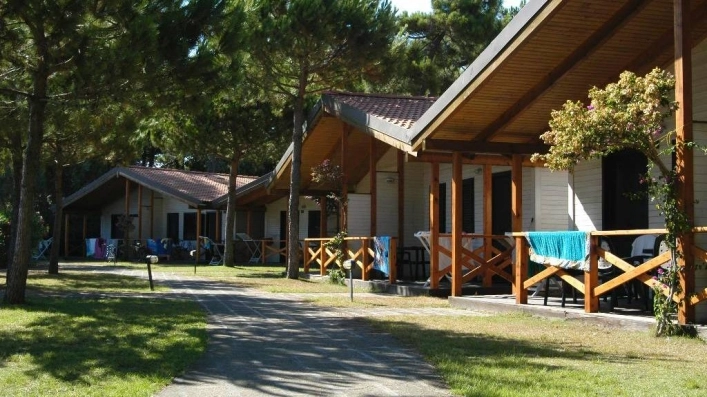 zobacz camping - zdjęcie 21