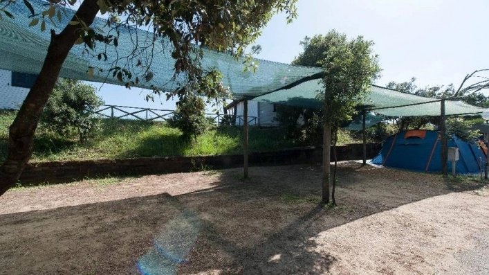 zobacz camping - zdjęcie 20