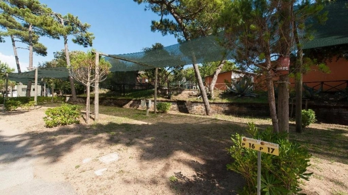 zobacz camping - zdjęcie 18