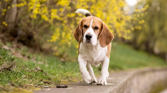 zobacz camping - zdjęcie 12