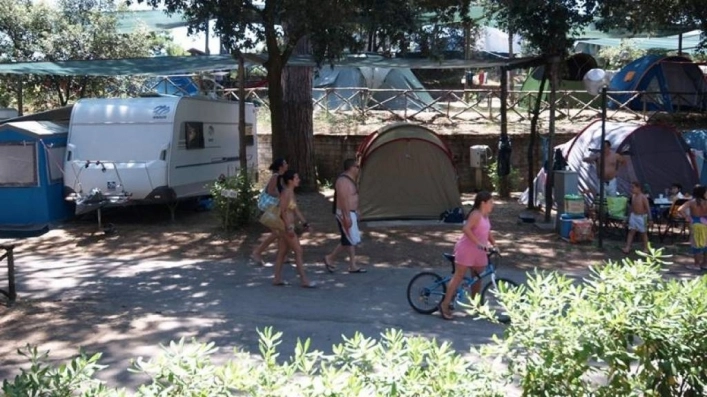 zobacz camping - zdjęcie 6