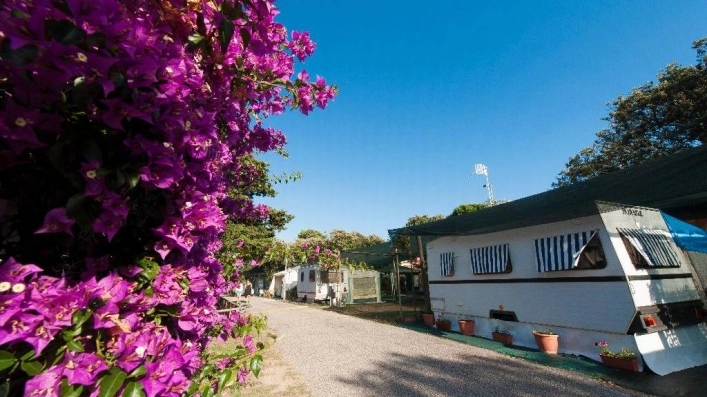 zobacz camping - zdjęcie 1