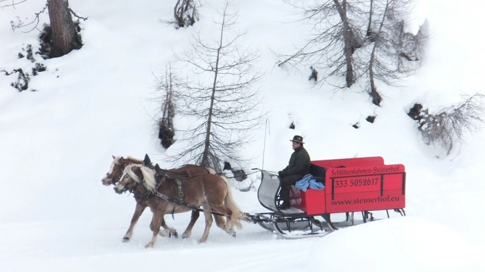 zobacz camping - zdjęcie 14