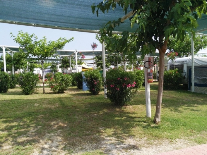 zobacz camping - zdjęcie 21