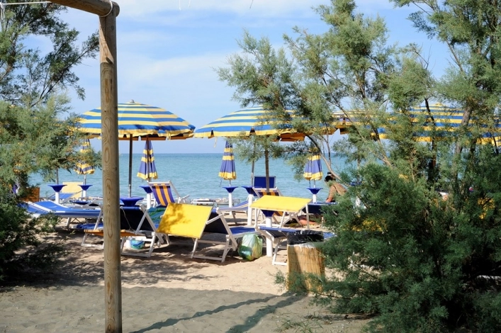 zobacz camping - zdjęcie 16