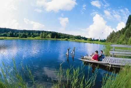 zobacz camping - zdjęcie 24