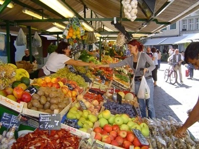 zobacz camping - zdjęcie 15