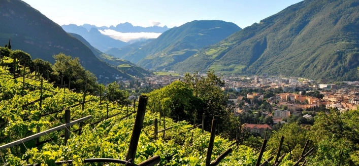 zobacz camping - zdjęcie 9