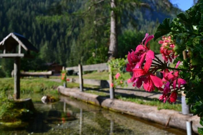 zobacz camping - zdjęcie 13