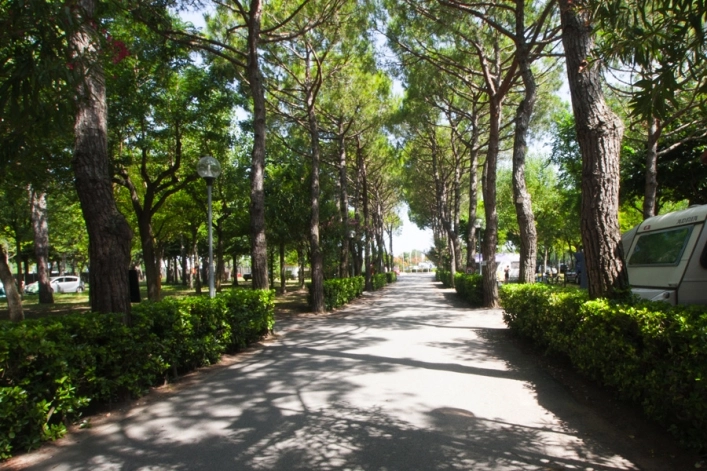 zobacz camping - zdjęcie 5