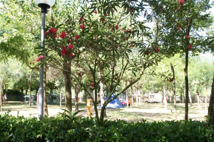 Camping Silva - zdjęcie 2