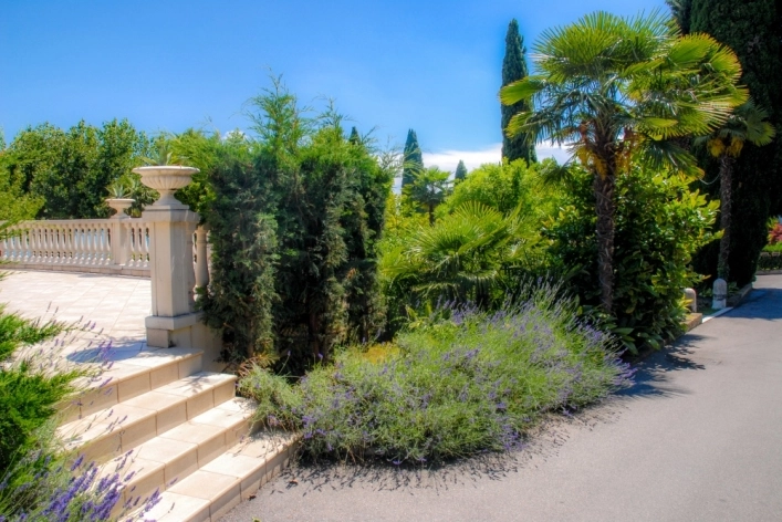 zobacz camping - zdjęcie 42