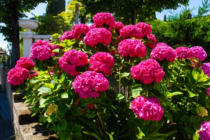 zobacz camping - zdjęcie 37