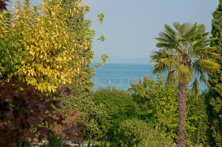 zobacz camping - zdjęcie 15