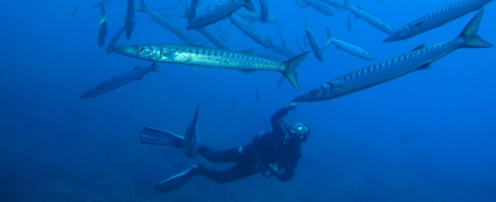 zobacz camping - zdjęcie 32