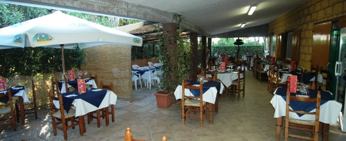 zobacz camping - zdjęcie 18