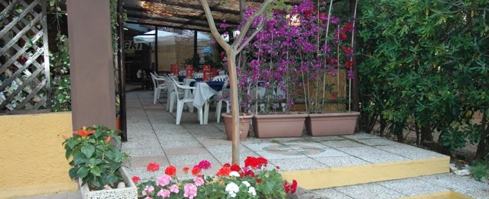 zobacz camping - zdjęcie 12