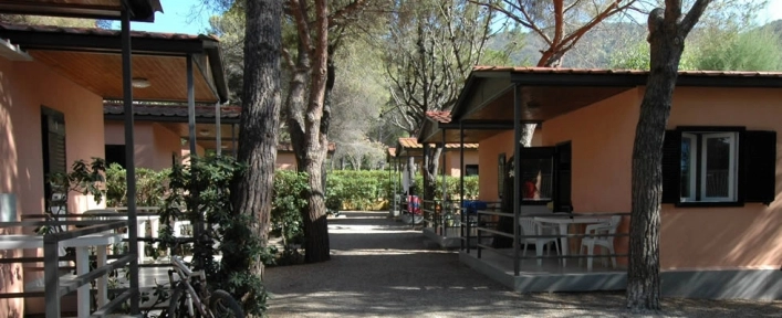 zobacz camping - zdjęcie 6