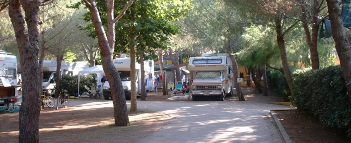 zobacz camping - zdjęcie 3