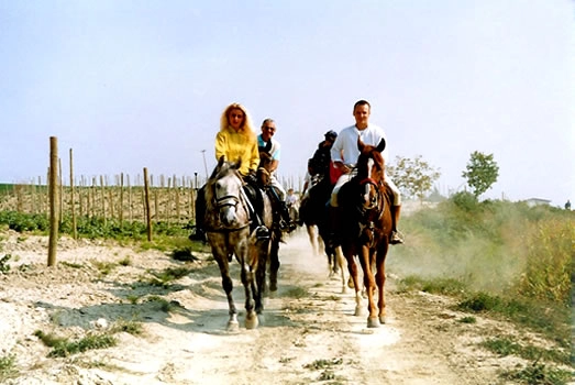 zobacz camping - zdjęcie 24