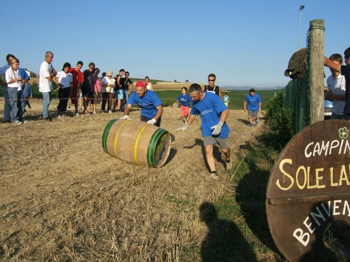 zobacz camping - zdjęcie 20