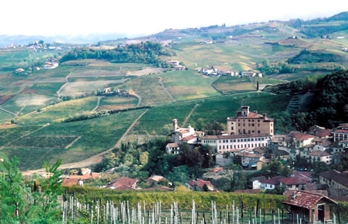 zobacz camping - zdjęcie 10