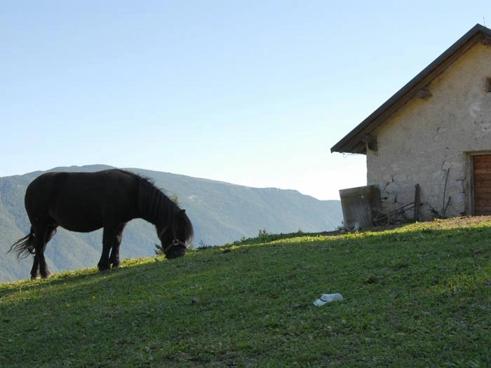 zobacz camping - zdjęcie 34