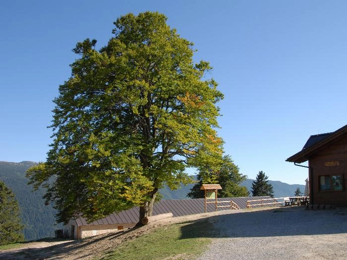 zobacz camping - zdjęcie 18